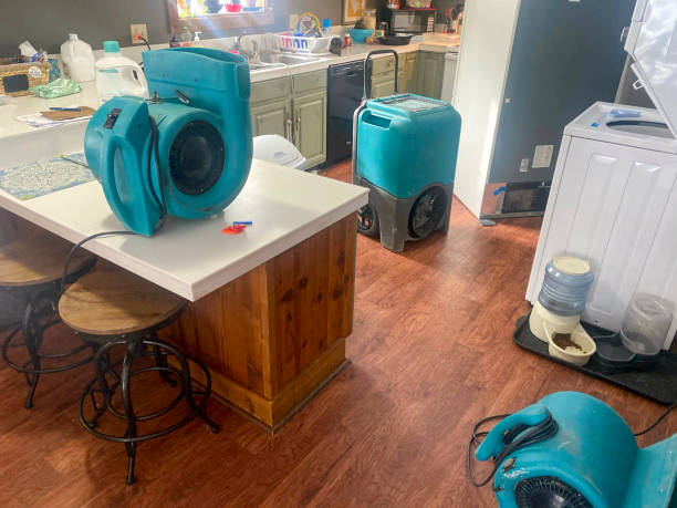 Water damage restoration mold remediation in Mission, OR