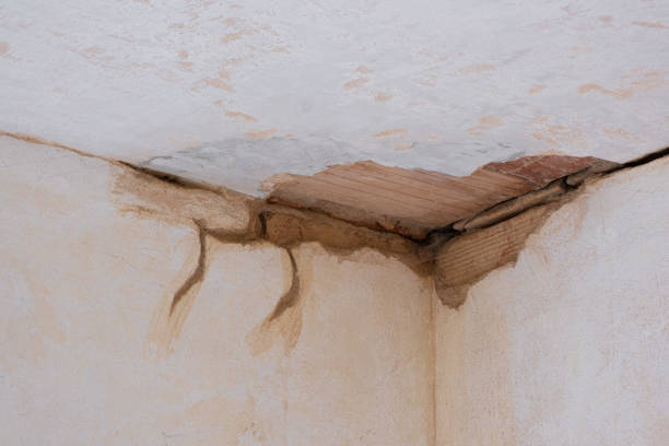 Best Flood damage cleanup  in Mission, OR