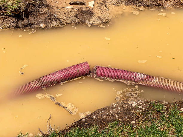 Water damage restoration insurance claims in Mission, OR